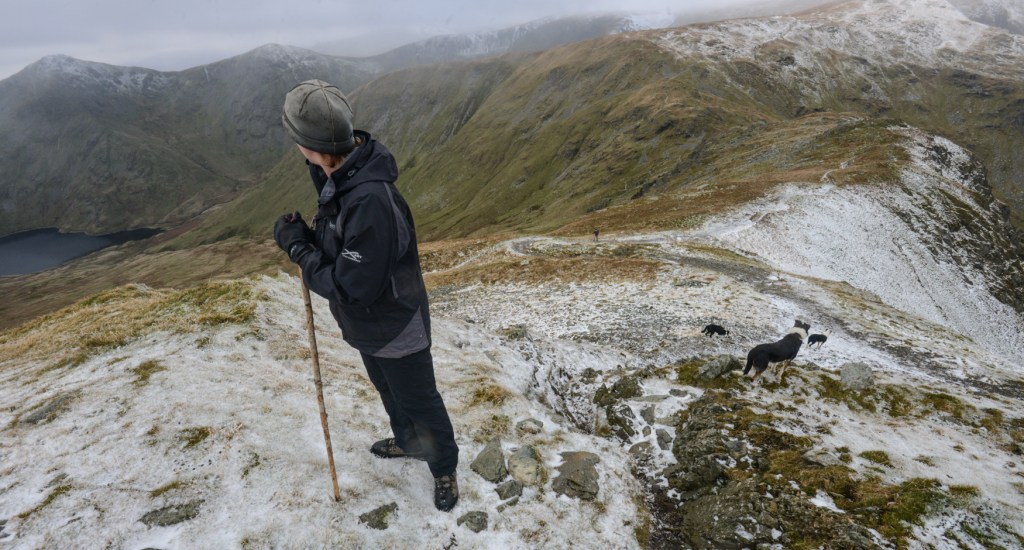 Gathering sheep from Nan Bield pass at the head of the Kentmere Valley