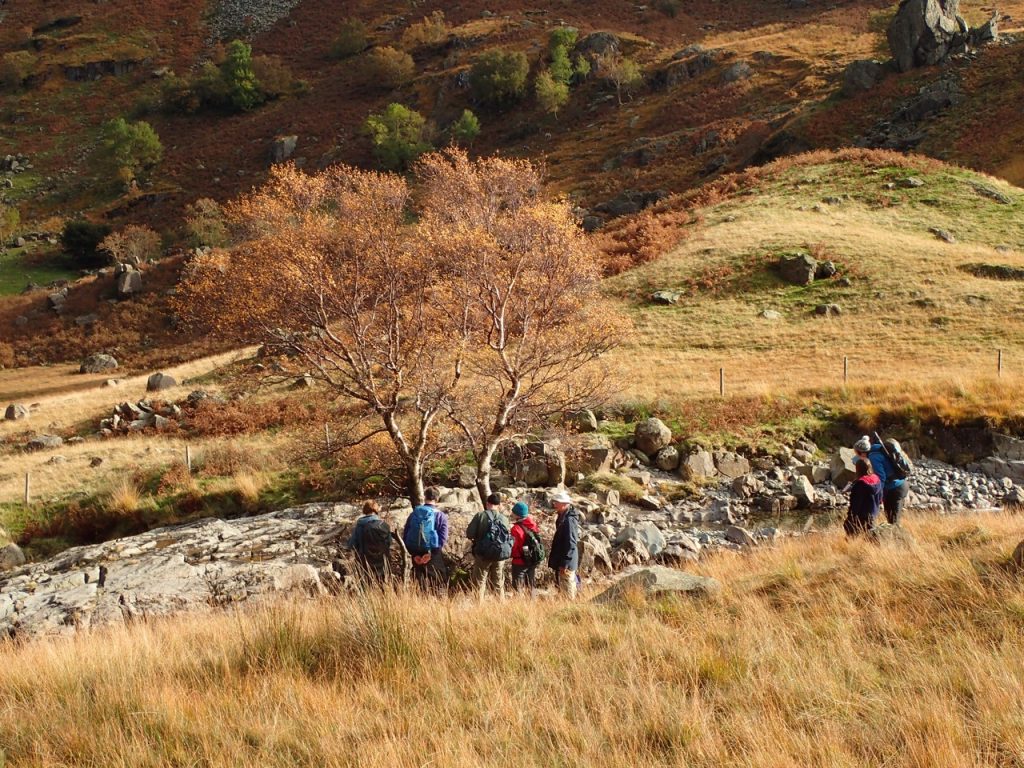 Langstrath Birch Public Walk 2017