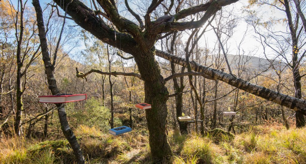 the seven hanging Everwhere Associates books in the Duddon Valley