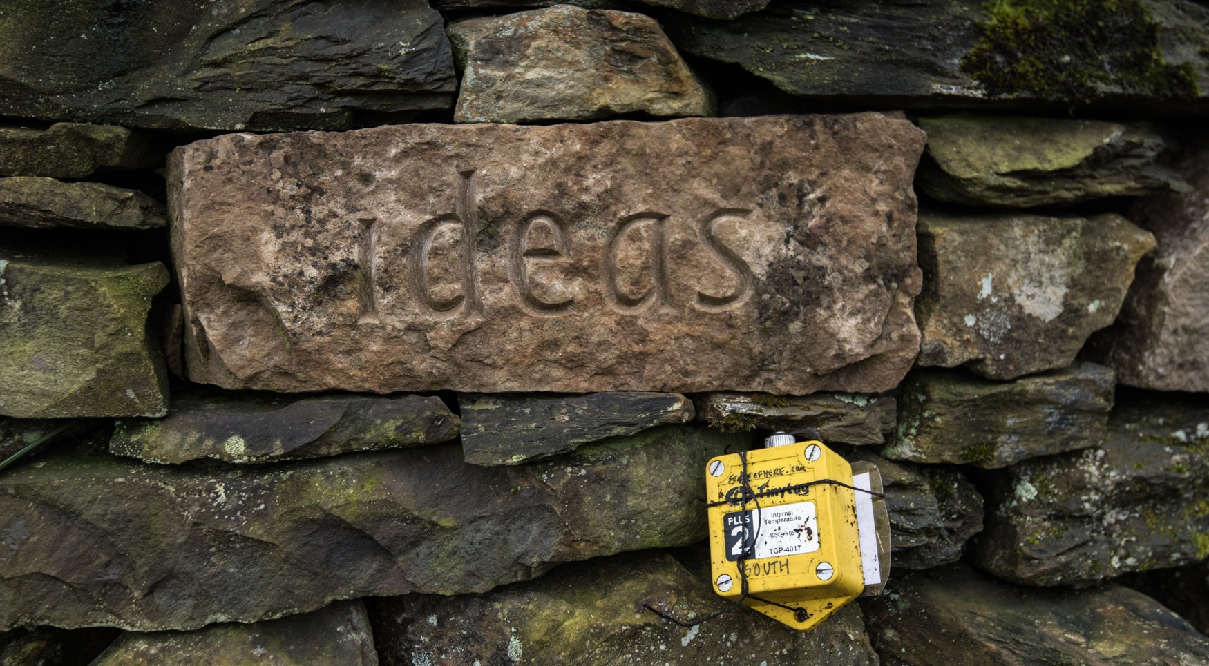 Tiny Tag South placed on our sculpture, treefold:centre