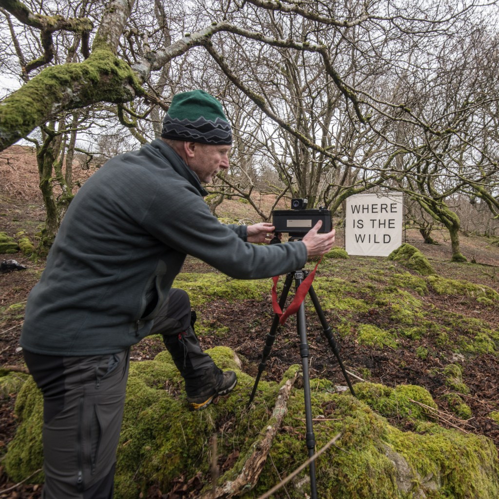 Making an image of the canvas on real film using a panoramic camera