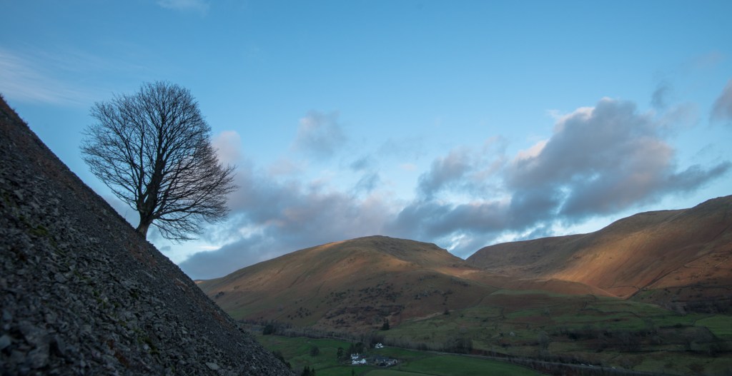 The Under Helm Sycamore, central point of the whole project