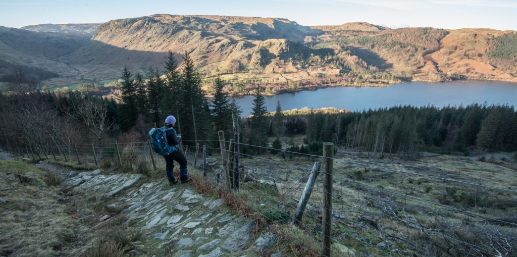 Harriet making notes above the treeline with Thirlmere in the background