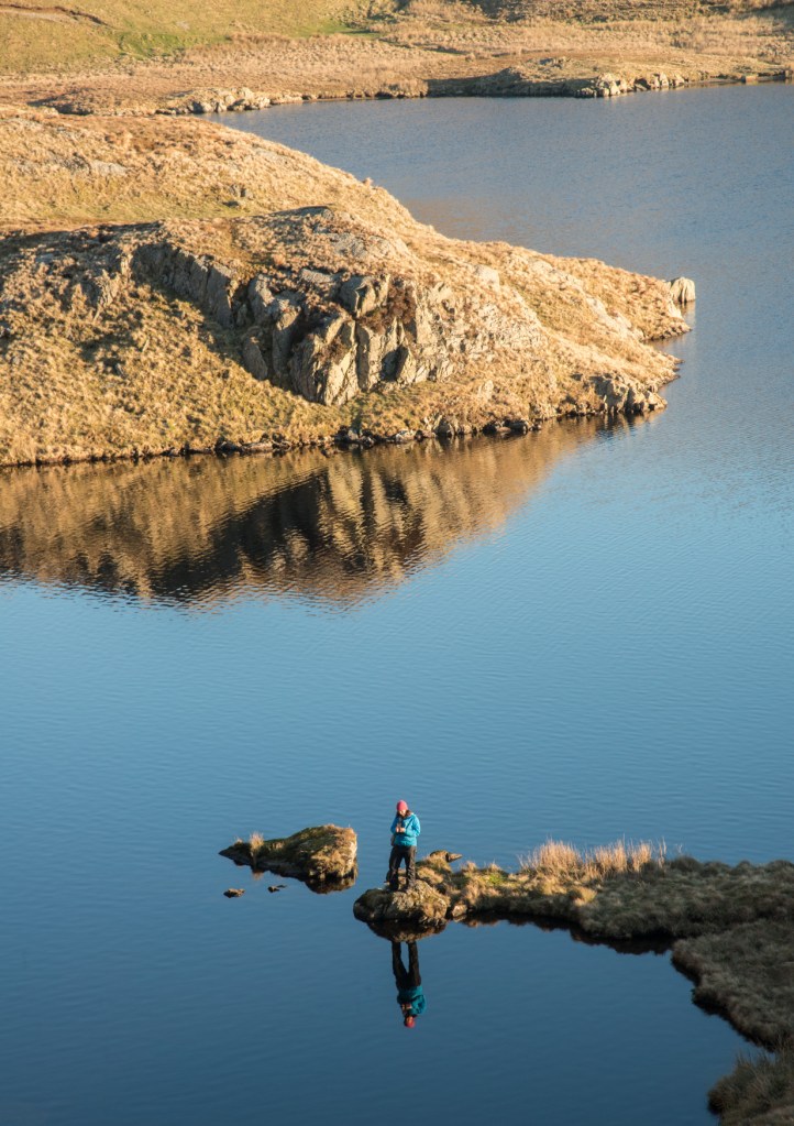 Writing in the gold of a new day