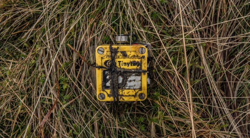 TinyTag detail for header pic