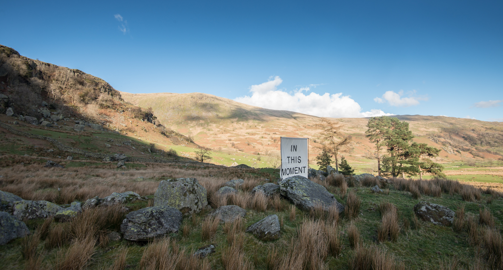 The canvas in front of trees near Tongue Head barn