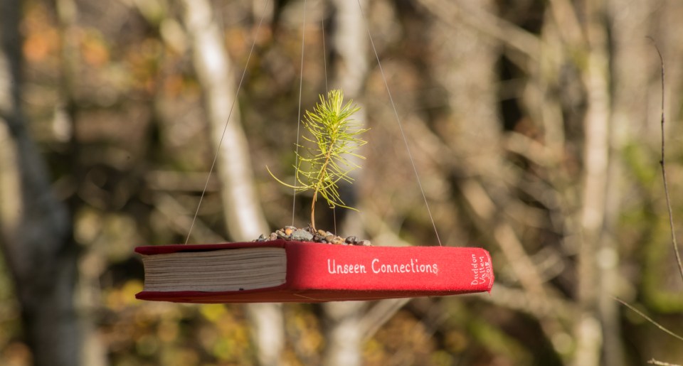 Unseen Connections floating book