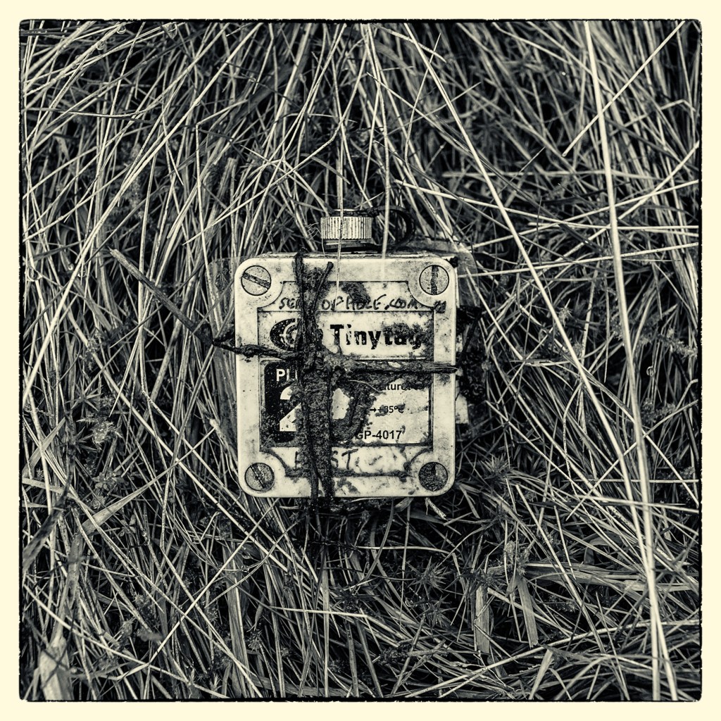 TinyTag East detail in monochrome.