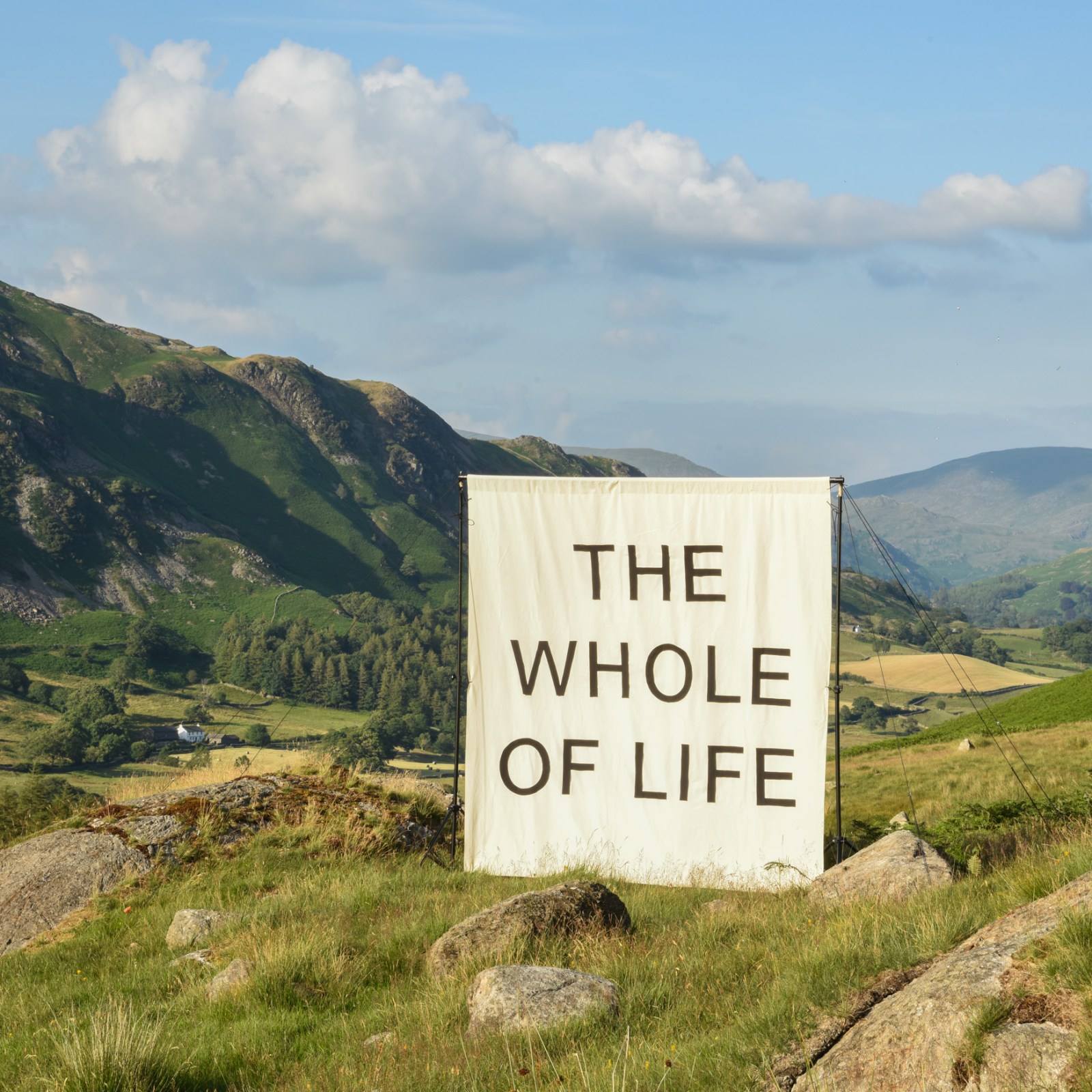 The Whole of Life square