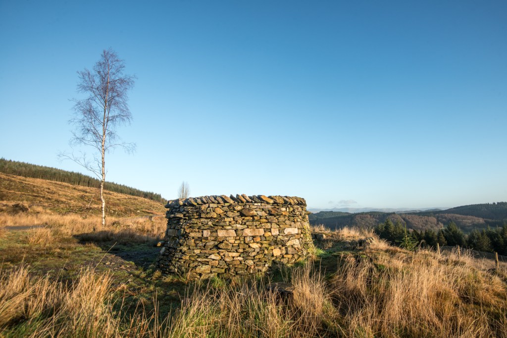 Treefold South sculpture, not far from TinyTag South