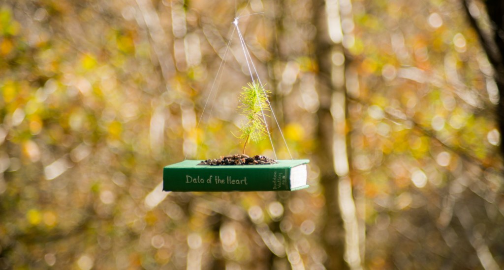 Data of the Heart